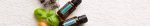 doTERRA AromaTouch Massage Blend (15ml) - Afbeelding 4