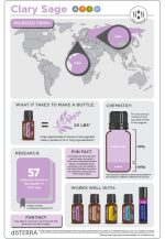 doTERRA Clary Sage (Scharlei) etherische olie (15ml) - Afbeelding 2