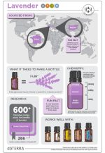 doTERRA Lavender (Lavendel) Etherische Olie (15ml) - Afbeelding 2