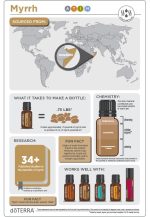 doTERRA Myrrh (Mirre) Etherische Olie (15ml) - Afbeelding 3