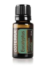 doTERRA Eucalyptus Etherische Olie (15ml) - Afbeelding 4
