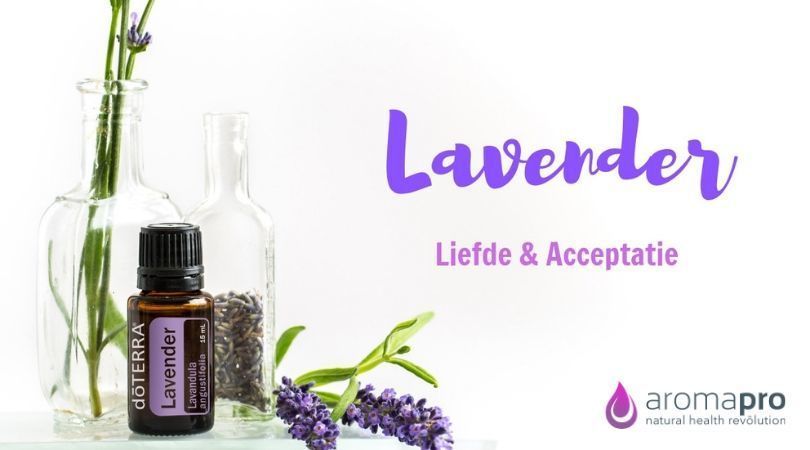 Lavender from doTERRA