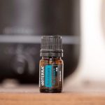 doTERRA Ravintsara Etherische Olie (5ml)