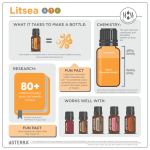 doTERRA Litsea Etherische Olie (15ml) - Afbeelding 4