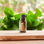 doTERRA MetaPWR Etherische Olie 15ml