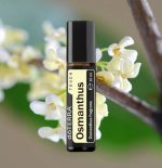 dōTERRA Osmanthus Touch Roller 10ml - Afbeelding 2