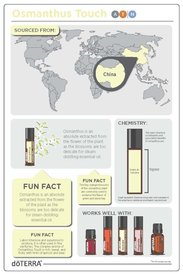 dōTERRA Osmanthus Touch Roller 10ml - Afbeelding 3